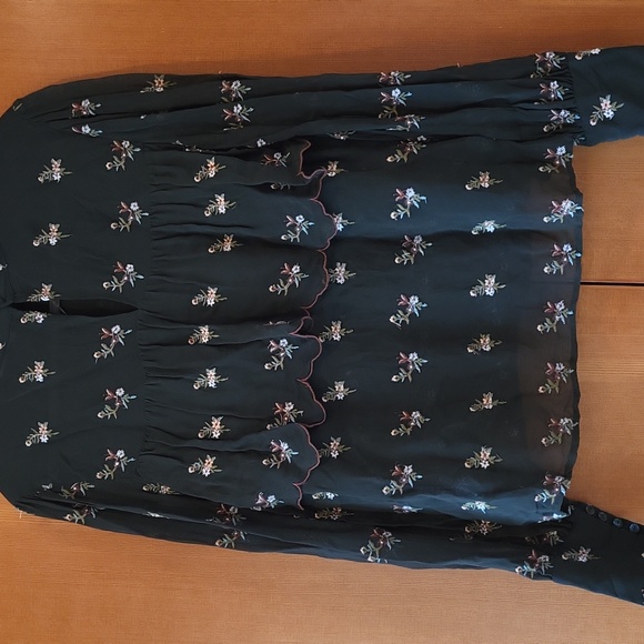 Zara Sheer Embroidered Top. - Picture 6 of 6